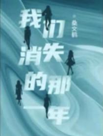 我们消失的那一年影视
