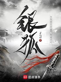 银狐电视剧演员表