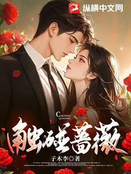 触碰蔷薇大结局番外