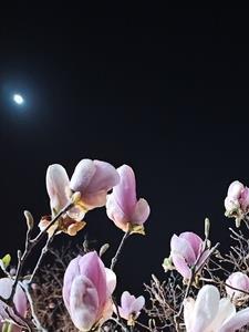 佳期如梦是哪一年的电视剧