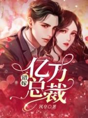 总裁的私宠甜妻免费TXT全文