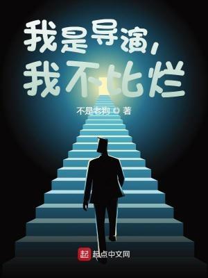 我是一个导演