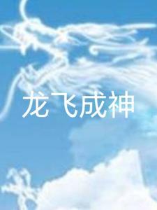 龙飞主人公的