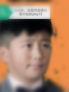 四合院我傻柱