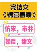 锦宫春暖讲了什么