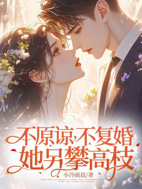 不原谅不复婚她另攀高枝白妍百度