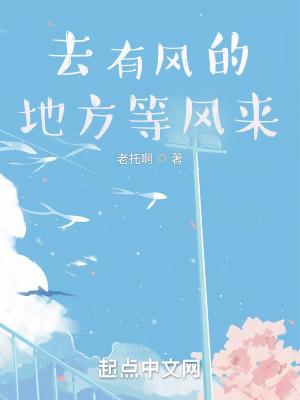 去有风风的地方电视剧