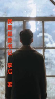 我是县委书记有声书全集520