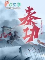 秦功笔趣阁无弹窗