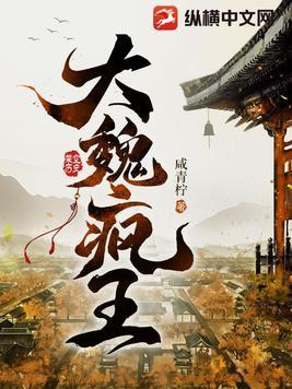 大魏疯王凌宁完整版