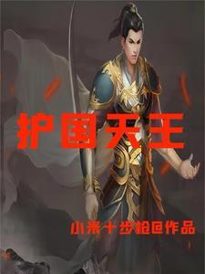 北境天王全集完整版