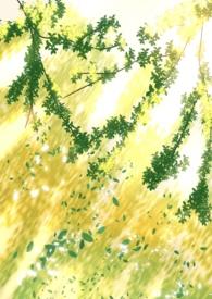 但第三者全文 但第三者全文