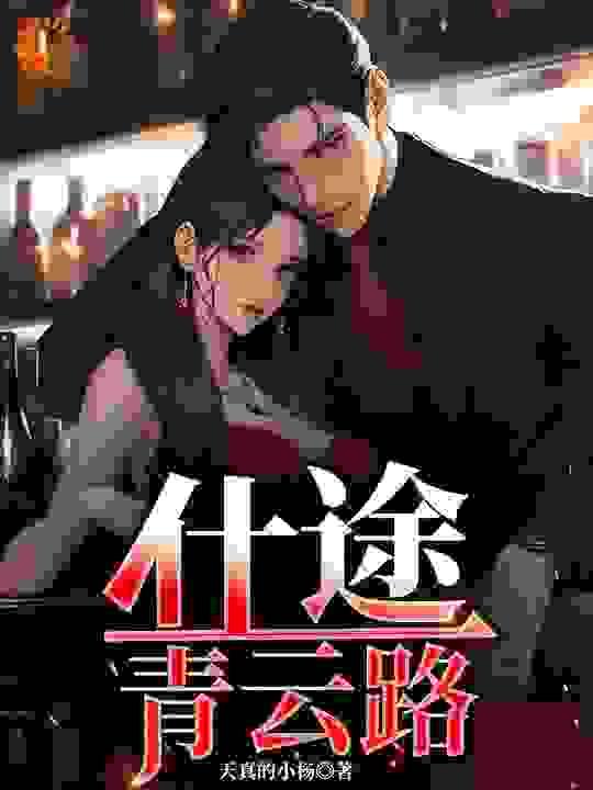 仕途青云路从回乡开始在线阅读