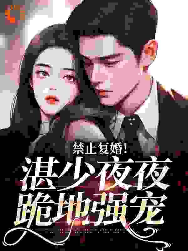湛少的替婚新妻