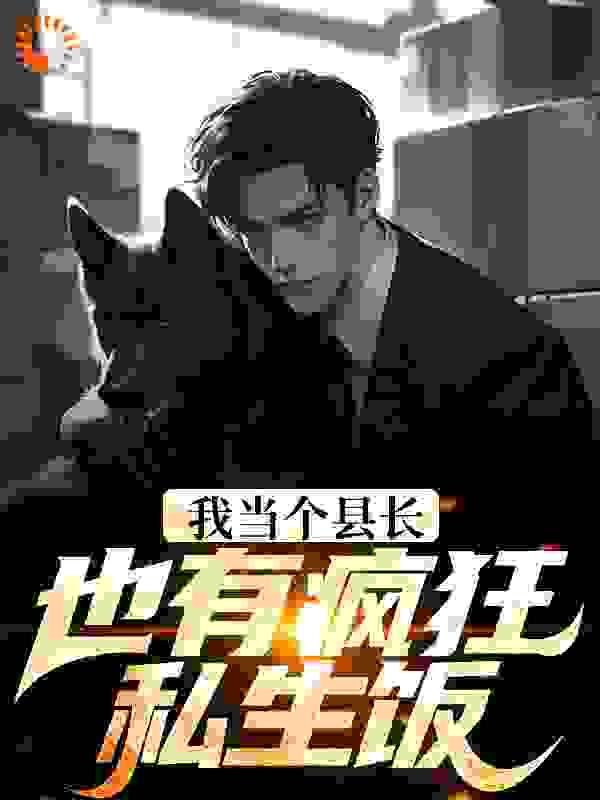 我当个县长也有疯狂私生饭大结局