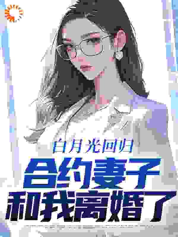 合约妻子和我离婚了 作者佚名