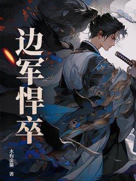 边军悍卒林丰全文TXT