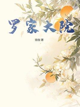 罗家大院1号 罗家大院1号