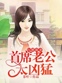 首席萌宝2