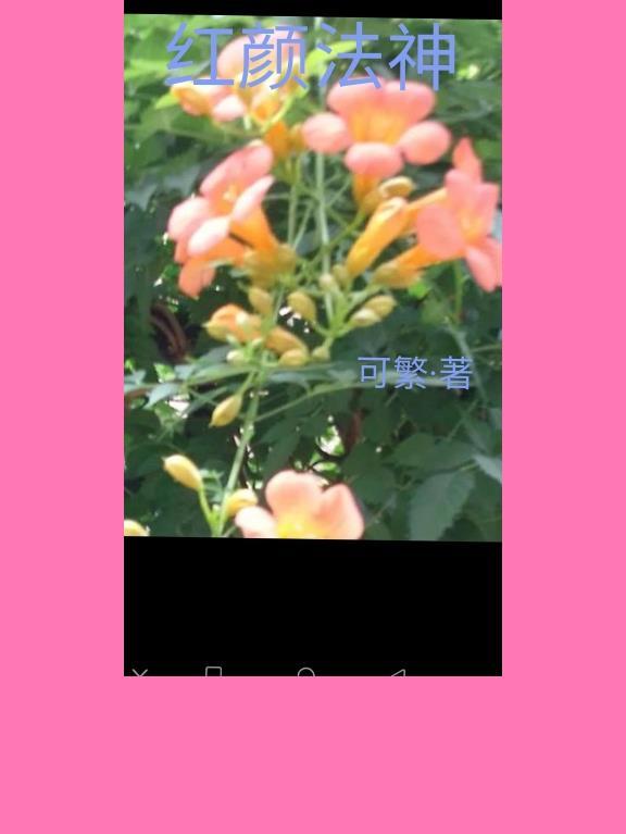 红颜法神1.5亿最新消息2023年3月