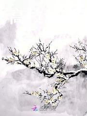 高枝难攀讲的什么故事 高枝难攀讲的什么故事