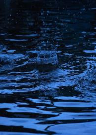 春风雨纯百全文在线阅读免费