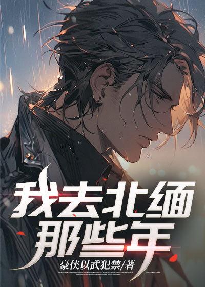 我去北缅那些年 豪侠以武犯禁