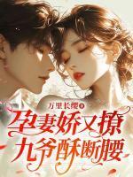 女主叫盛宁