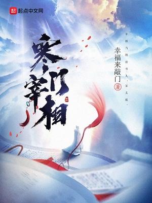 寒门宰相书评