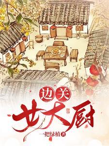 边关女大厨txt百度资源链接