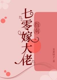 七零嫁大佬指南书包网