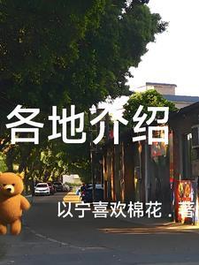 各地介绍学校的文章