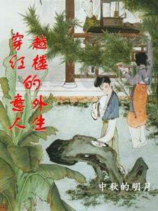 穿越红楼