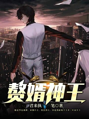 赘婿神王txt