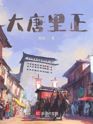 大唐里正txt