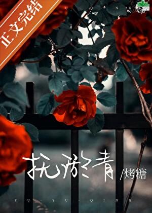 抚淤青txt