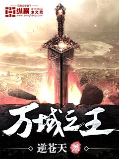 万域之王主角聂天父亲