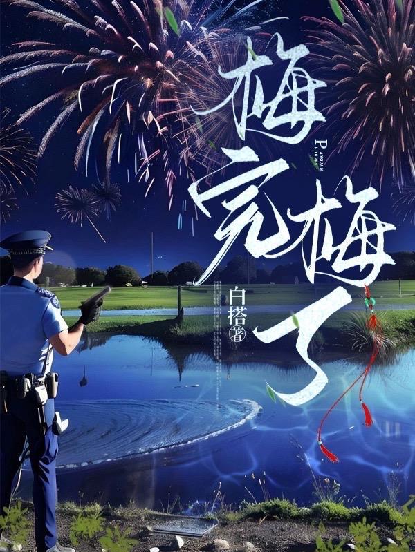 梅完梅了酸梅汤