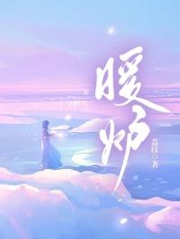 大赫电采暖炉