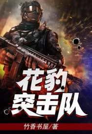 花豹突击队txt百度
