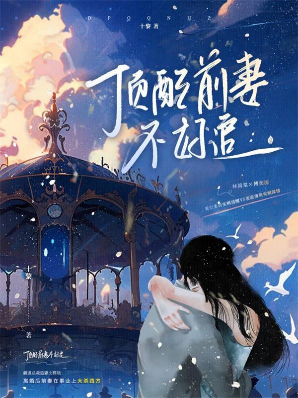 顶配前女友 作者一只花夹子