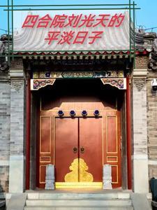 四合院之刘光天的隐忍 七情上的 四合院之刘光天的隐忍 七情上的