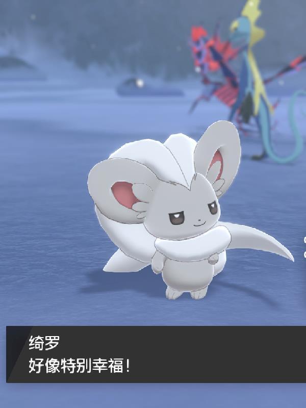 究极训练是什么