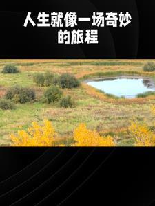 言情的故事 在线阅读