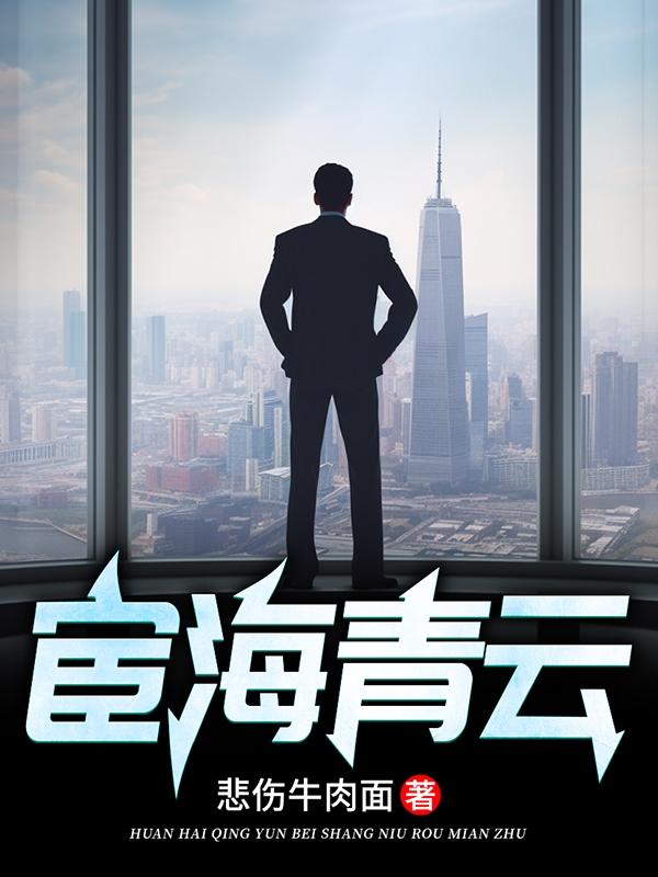 宦海青云志