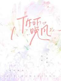 你听晚风免费阅读
