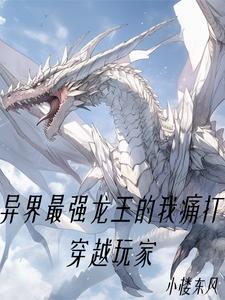 overload白金龙王拥有的公会武器