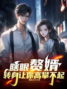 赘婿是怎么回事