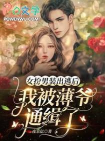 我被薄爷通缉了TXT版 我被薄爷通缉了TXT版