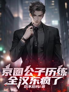 苏哲京圈公子小说TXT无错版